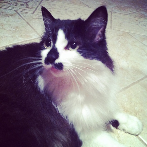 Meet your Posher, Luisa - Picture 8 of 13